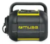 Рабочее радио Muse M-968 BTY Photo 2