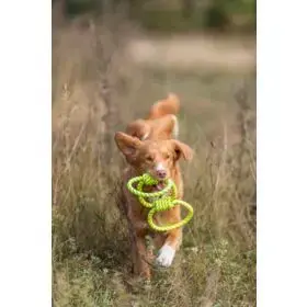 Dog/Cat Toy Trixie 33663 Photo 2