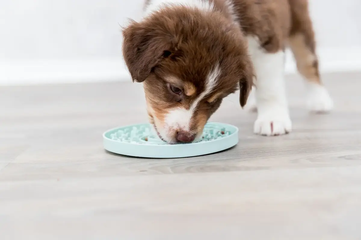 Игрушка для лакомств Trixie Junior Licking Plate Photo 10