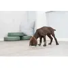 Игрушка для лакомств Trixie Junior Licking Plate Photo 11