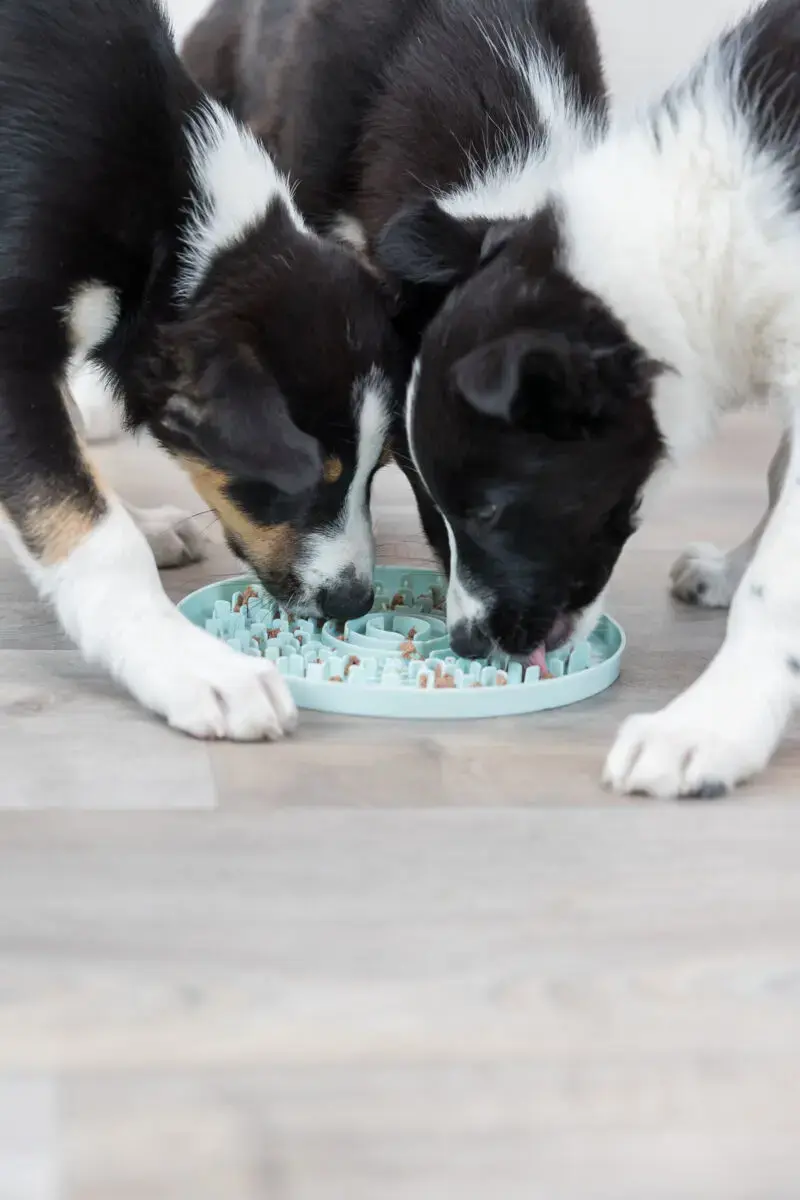 Игрушка для лакомств Trixie Junior Licking Plate Photo 13
