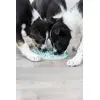 Игрушка для лакомств Trixie Junior Licking Plate Photo 13