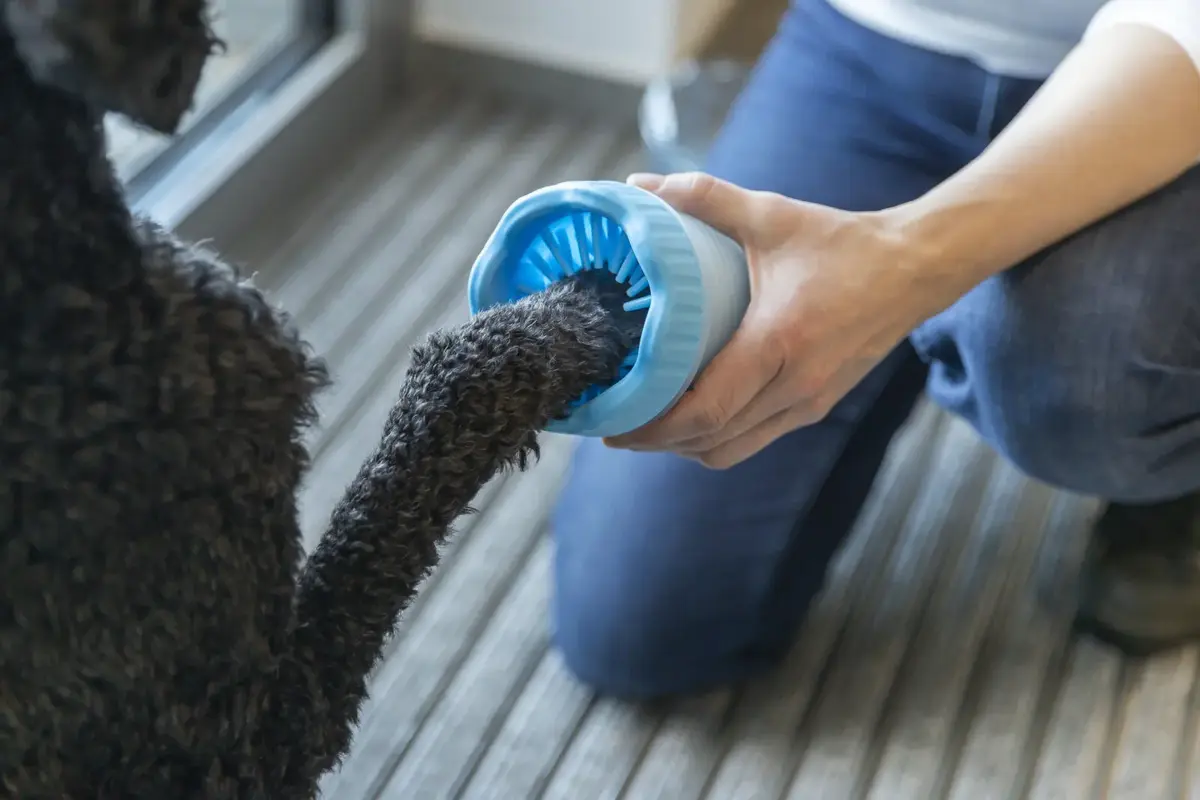 Dog Paw Care TRIXIE 25704 Photo 4
