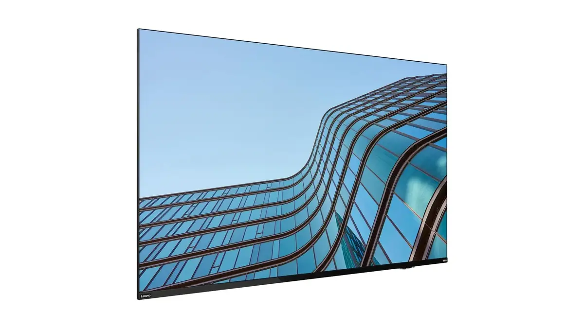 Monitor Lenovo ThinkVision E55 LFD Photo 2
