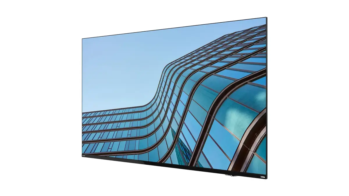 Monitor Lenovo ThinkVision E55 LFD Photo 3