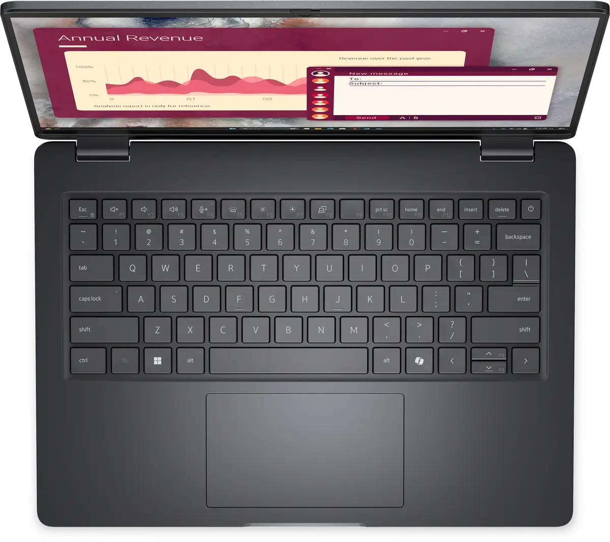 Laptop DELL Pro PC14250 Photo 4
