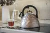 Berretti Rosa BR-7634 — Традиционный чайник 3 л Photo 2