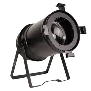 Spotlight EVOLIGHTS PAR 64 200W LED ZOOM AUTO V2 professional stage PAR light, 200W LED, zoomable beam, automatic functions