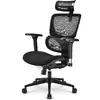Office chair Sharkoon OfficePal C40 Photo 4