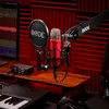 Микрофон Rode Microphones NT1 Signature Photo 6