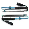 Trekinga nūjas Black Diamond Distance Carbon FLZ Photo 3