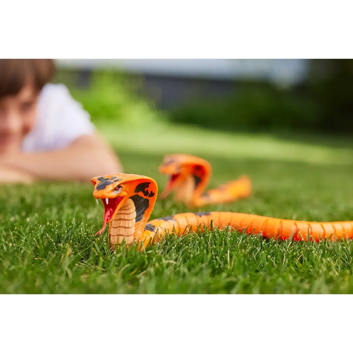 Zuru Robo Alive King Cobra toy Photo 5