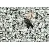 Ravensburger Challenge Star Wars puzle 1000 detaļas Photo 2
