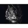 schmidt spiele Ashley Rader Wilderness Tiger — 1000 шт. Photo 2