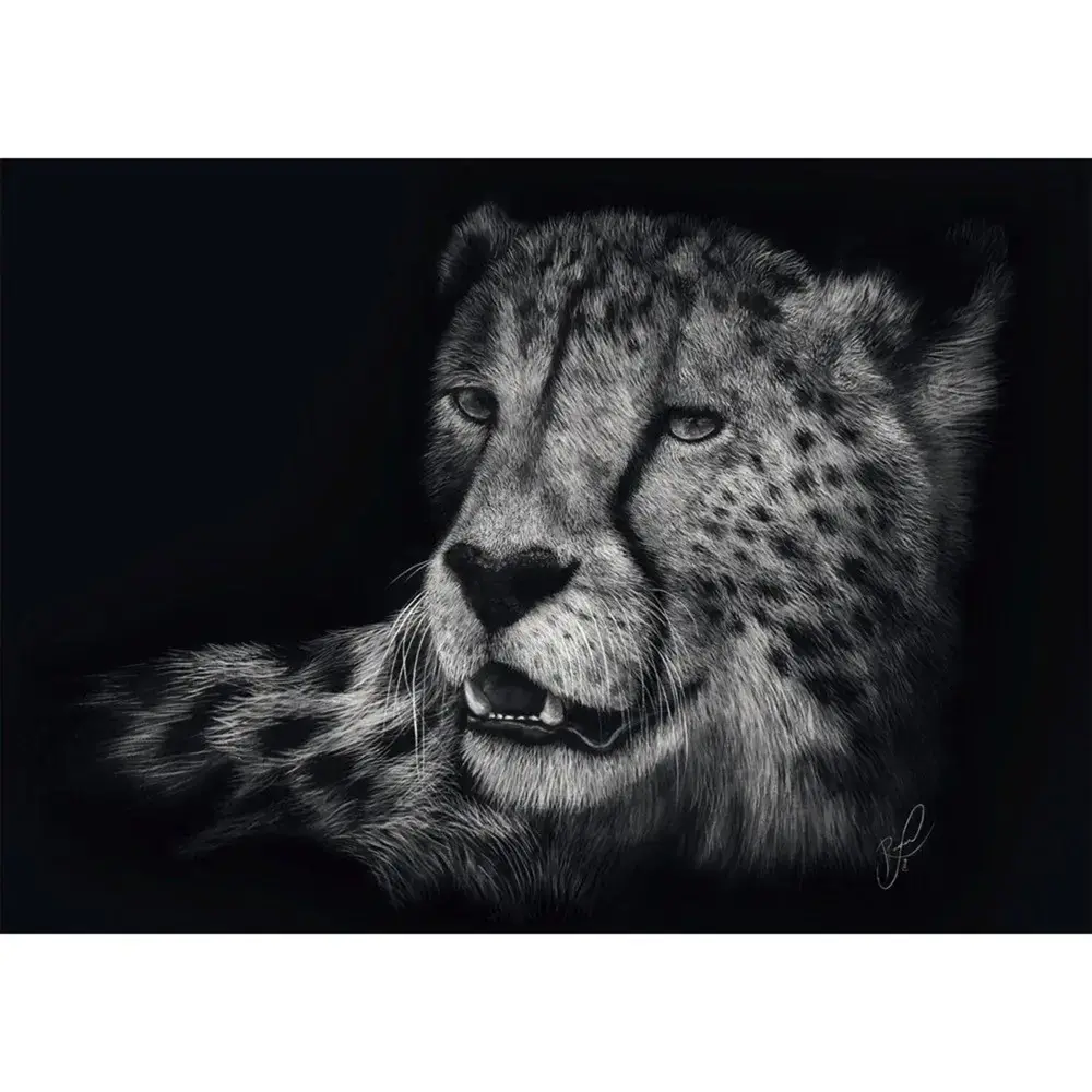Schmidt Spiele jigsaw puzzle Ashley Rader Speed Cheetah 1000 Photo 2