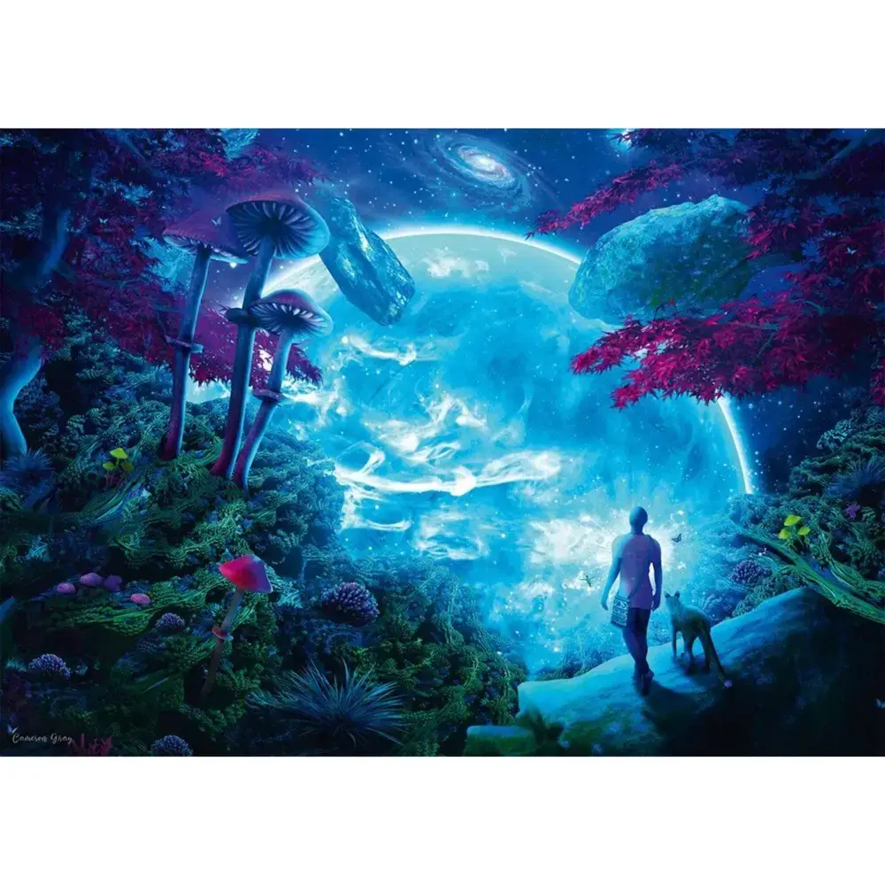 Puzle schmidt spiele Cameron Gray Sky Fantasy 1000 Photo 2