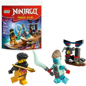 Construction toy LEGO set 30700 Arin's Battle with the Dragon Man polybag (mini set)