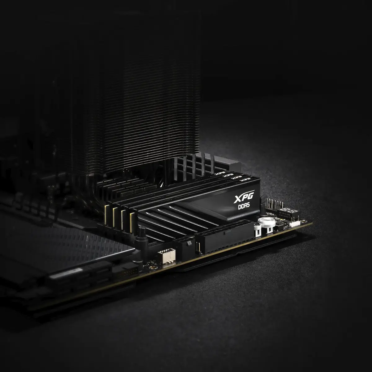 Memory ADATA AX5U6000C3616G-SLABBK Photo 6