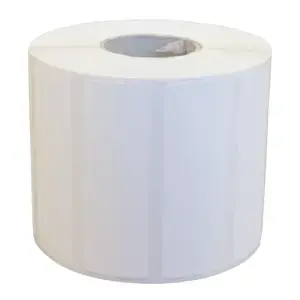 Epson Labels 7113759 High Gloss 102 x 76 mm – Roll of High-Gloss Adhesive Labels