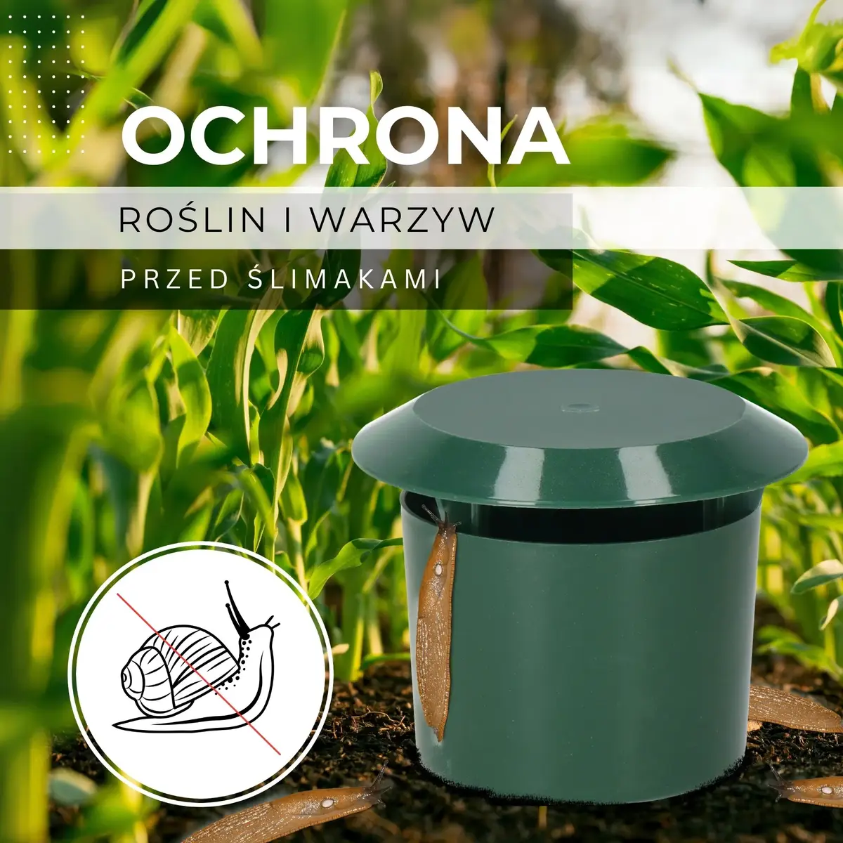 Snail trap Springos GA0006 — 2 pcs Photo 10