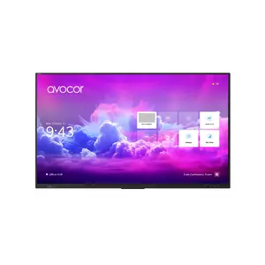 Монитор Avocor E-50 Series 55" 4K IR LED Interactive Display