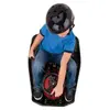 Electric drift cart Razor CRAZY CART 20173861 Photo 10