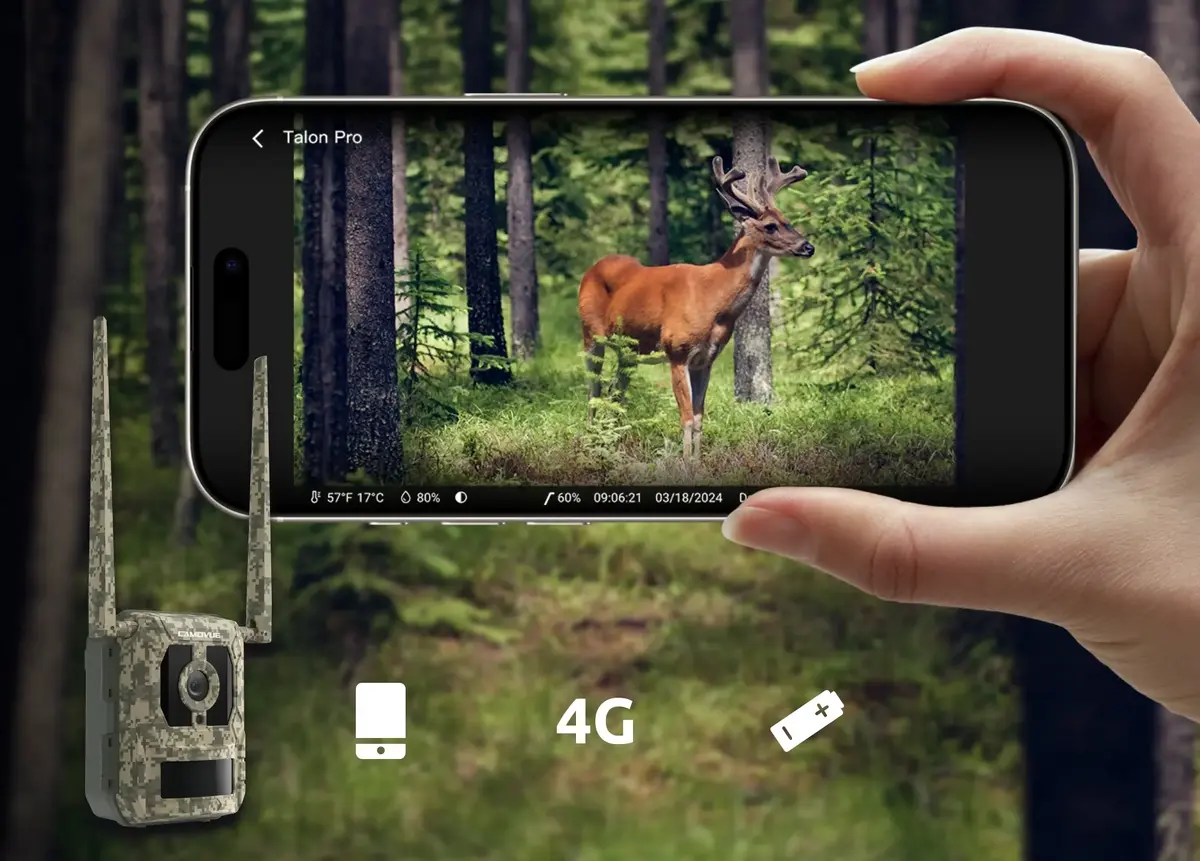 Reolink Camovue Talon S130 4G LTE trases kamera Photo 3