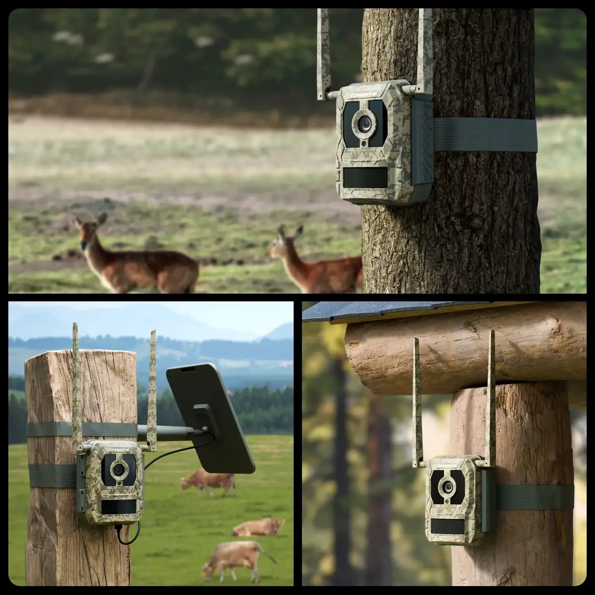 Reolink Camovue Talon S130 4G LTE trases kamera Photo 9