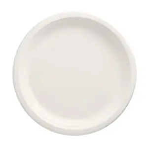 Papstar 89750 Round Sugarcane Plate 26 cm