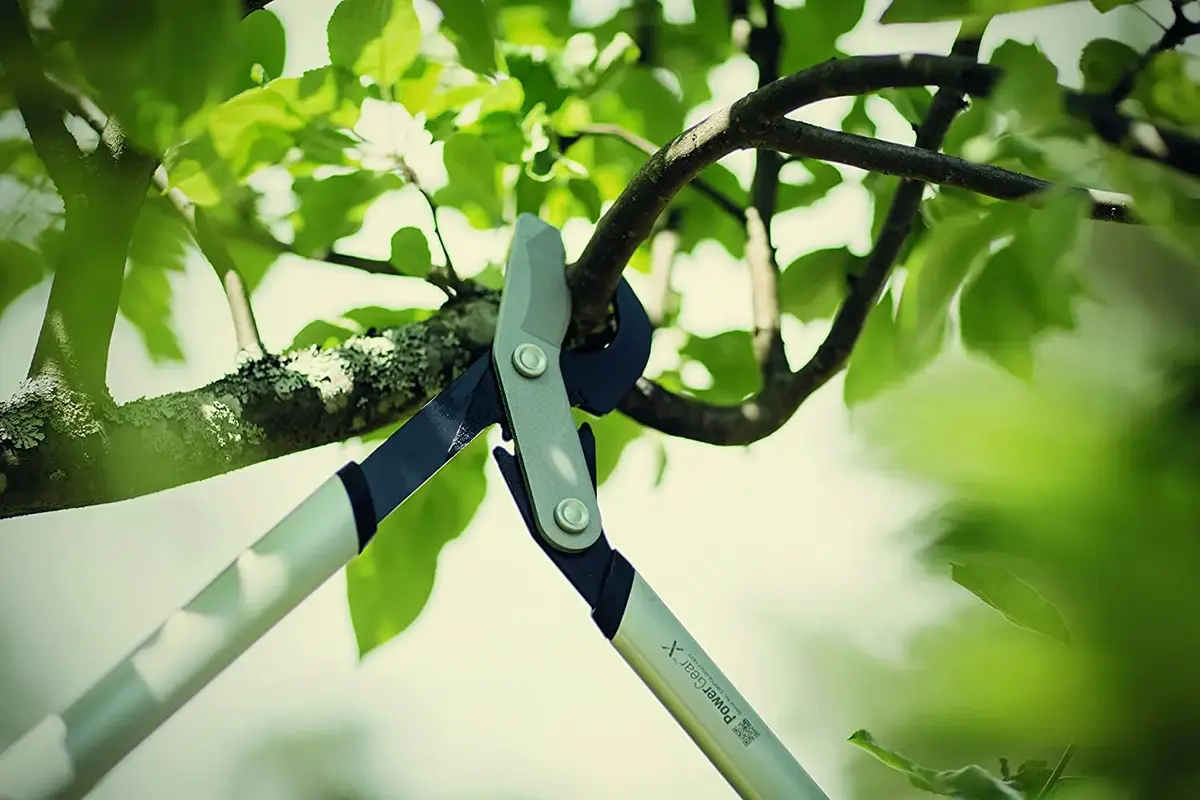 Сучкорез Fiskars PowerGear 1020187 Photo 2