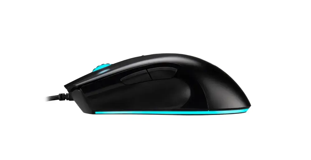 Pele Acer Predator Cestus 333 Photo 4