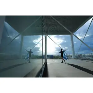 Ultra wide-angle views