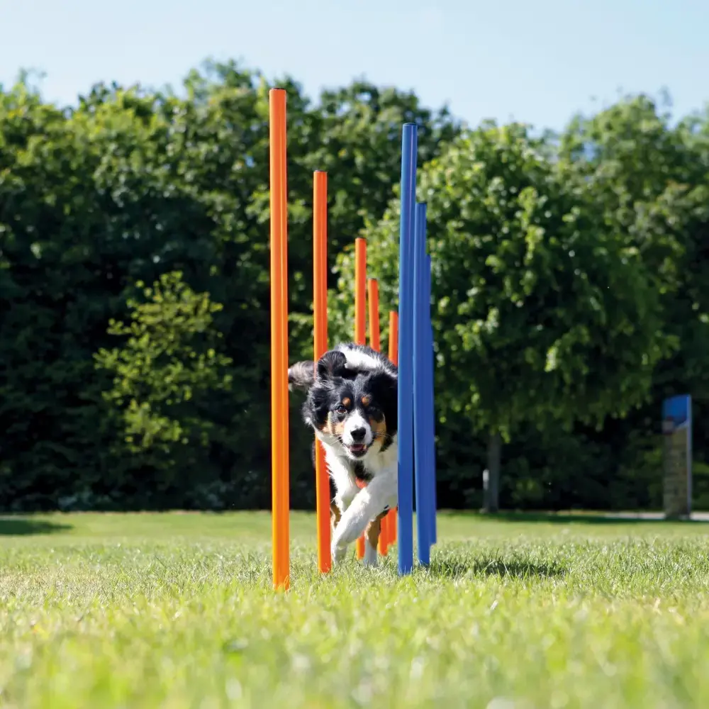 Agility komplekts Trixie 3206 — slaloms 1150 mm Photo 2