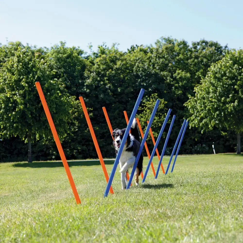 Agility komplekts Trixie 3206 — slaloms 1150 mm Photo 3