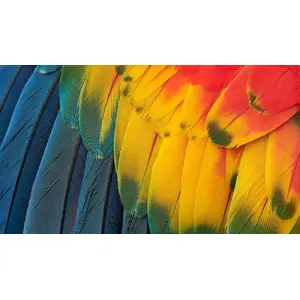 Vibrant, true-to-life colours