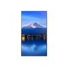 Monitors SHARP/NEC MultiSync P556 Photo 10
