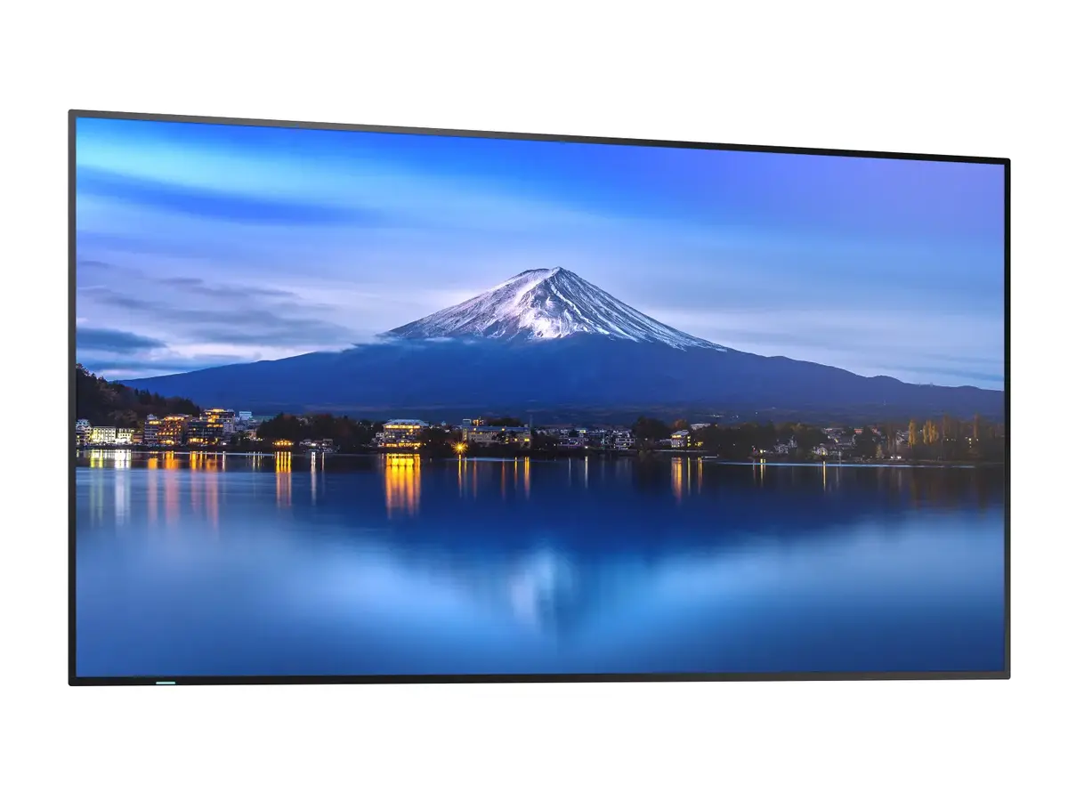 Monitors SHARP/NEC MultiSync P556 Photo 11
