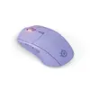 Мышь Steelseries 62525 Photo 5