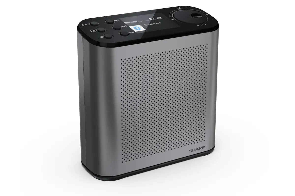 Sharp DR-P530 portable digital radio Photo 3