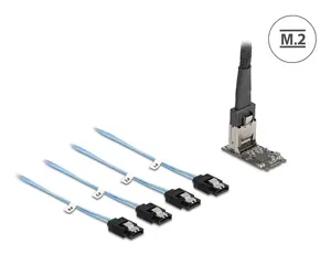 DELOCK internal M.2 to Mini-SAS adapter card 64260, M.2 host, Mini-SAS output, JMicron JMB585, black, LED