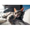 Tamron 16–30mm f/2.8 Di III VXD G2 для Sony E Photo 13