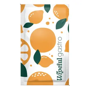 Wipeful disposable wipes Gastro Citron 6×10 cm, pack of 1000 — foodservice cleaning