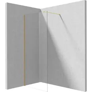 Walk-in shower wall deante KTJ_R39P 90 cm tempered glass