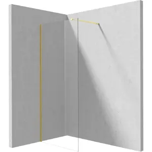 Walk-in shower wall Deante KTJ_Z37P 70 cm transparent glass