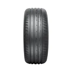 Riepa Nankang AS-2+ 235/30 R21 91Y — vasaras/asimetriska, 235/30 R21, slodzes indekss 91, ātruma Y