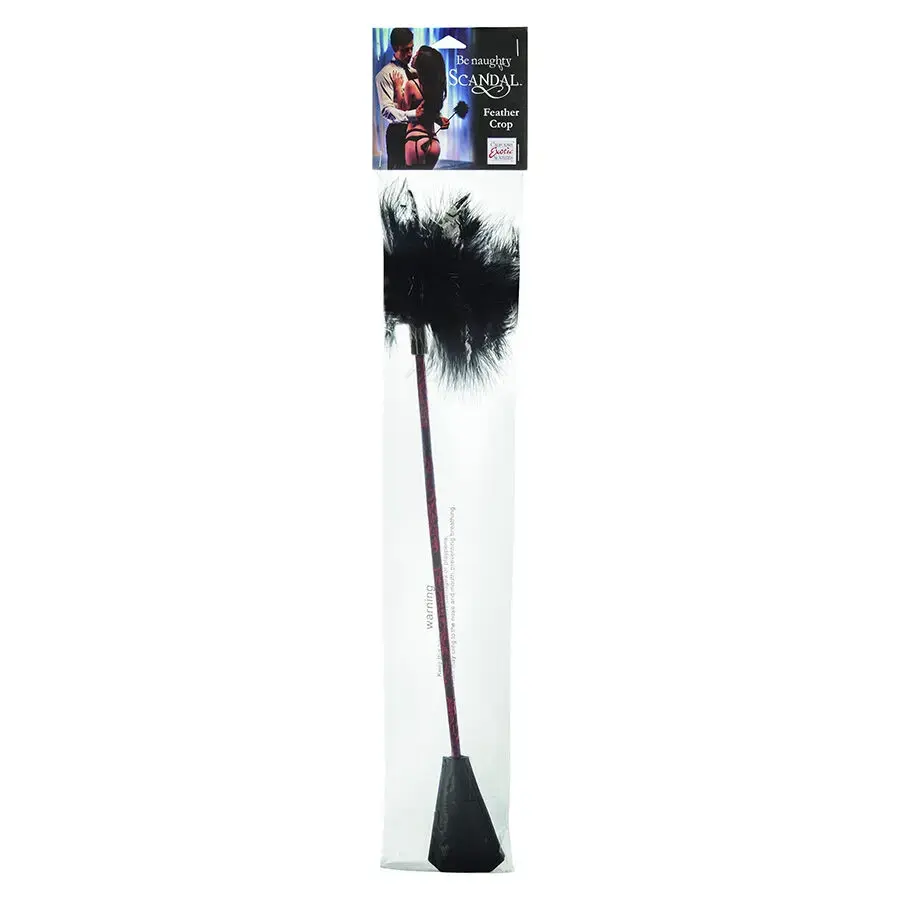 Whip CALEXOTICS Scandal Black Feather D-243641 Photo 2