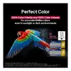 LG OLED evo AI OLED55C5ELB 55 Inch 4K Smart TV Photo 8