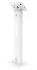 Compulocks Galaxy Tab A9+/A11+ Apex Floor Stand White Photo 2