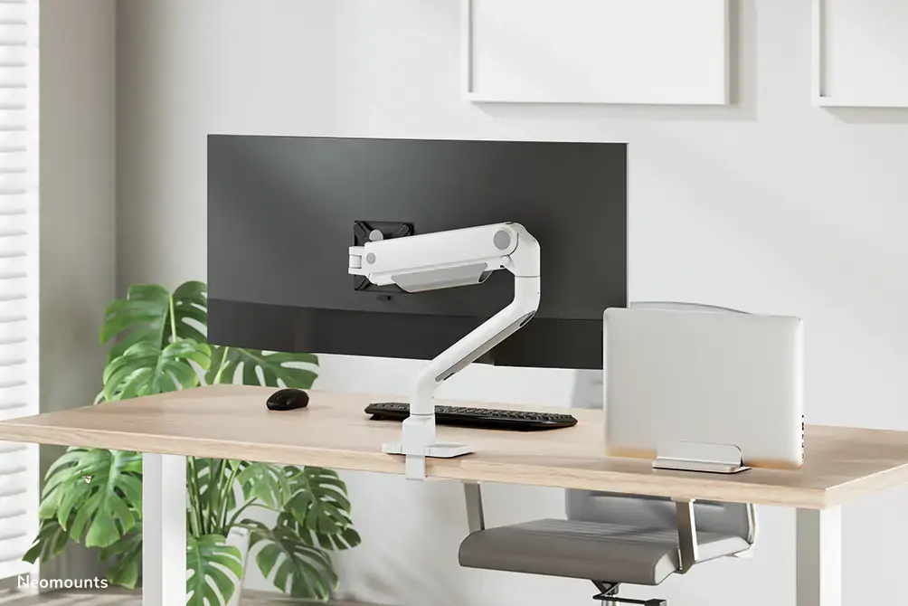 Neomounts NSLS300SILVER laptop holder 11–17" Photo 8