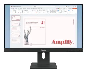 Lenovo ThinkVision E24-40 Monitors 23.8" Full HD IPS 1920 x 1080 100 Hz Melns